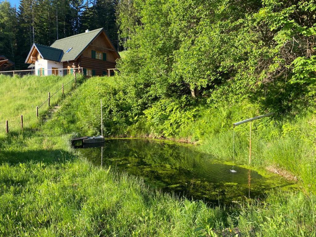 Schilcherland Suedsteiermark Chalet *